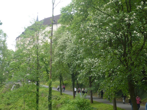 Další