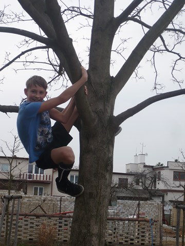 Další