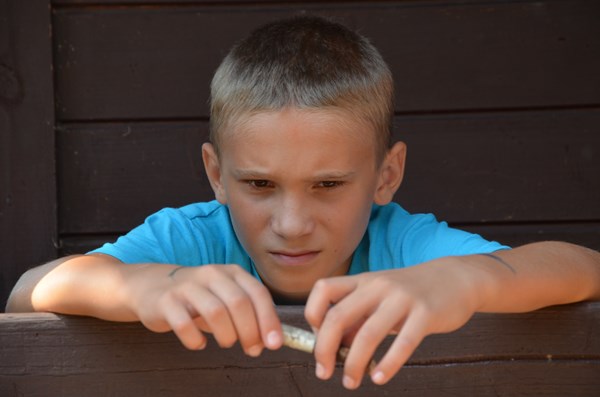 Další