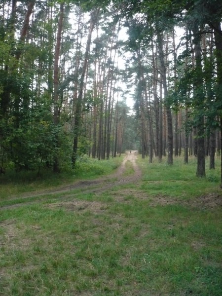 Další