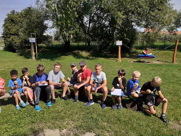 Další