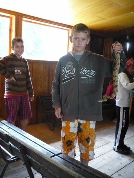 Další