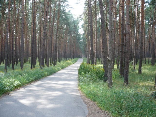 Další
